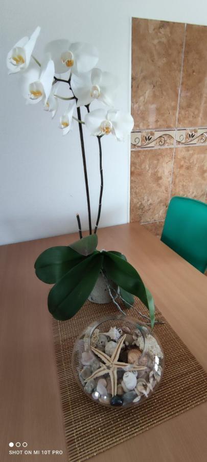 Apartments Tara 울친 외부 사진